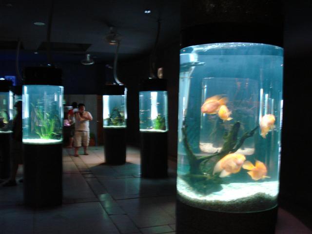 DSC02278 (Small).JPG